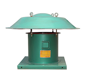 屋頂風(fēng)機(jī) 屋頂風(fēng)機(jī)