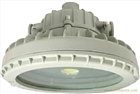 BAX82D系列固態免維護防爆防腐燈LED20W30W50W