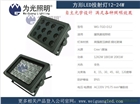 建筑亮化染色LED投光燈 金黃光20W戶外射燈廠價(jià)批發(fā)