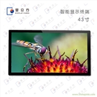 43寸智能顯示終端