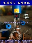 ZZWPE電動(dòng)溫控調(diào)節(jié)閥