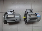 SIEMENS原裝1FT6102-1AC71-4EG1進口