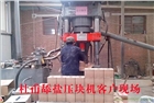 國內專業的牛羊舔鹽壓塊機生產廠家—杜甫機械