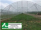 大棚建設   有立柱蔬菜大棚   壽光市萬禾農業