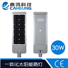 太陽(yáng)能路燈系列 經(jīng)久耐用 多年成功經(jīng)驗(yàn)_深圳嘉鴻