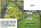黃谷綠地貼的實(shí)用性