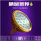 BAD808-A LED防爆燈（II型）