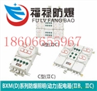 BXMD51-T 防爆照明動力配電箱