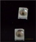 帶透鏡2835白光 帶透鏡2835紅光 帶透鏡2835黃光