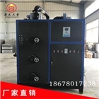 蒸汽發(fā)生器 生物質(zhì)鍋爐 全自動(dòng)免檢 節(jié)能蒸汽發(fā)生器