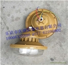 供應SBF6103防水防塵防腐工廠燈40W50W三防無極燈