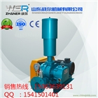山東戰爾羅茨鼓風機型號WSR100廠家直銷