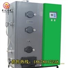 全自動(dòng)生物質(zhì)蒸汽發(fā)生器200kg免檢 節(jié)能環(huán)保蒸汽鍋爐 熱賣
