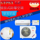 英鵬防爆空調(diào)1匹