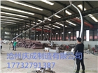 各種型號九輪數控彎管機設備供應