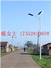 衡陽(yáng)衡東太陽(yáng)能路燈多少錢(qián)/衡東哪種太陽(yáng)能路燈好