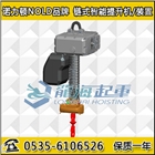 120kg環鏈智能提升機,NOLD-ILEH120,天津
