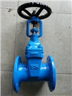 臺灣FS富山明桿軟密封閘閥FS052S/FS052DS