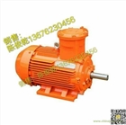 金龍高效防爆電機(jī)