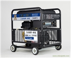 大澤300A便攜式發電電焊兩用機