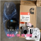 奇瑞重工QRZ48北京康明斯活塞組件4376245