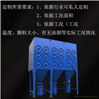 廠家直銷濾筒除塵器 斜插式濾筒除塵器 支持來圖定制