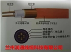 甘肅礦物電纜BTTZ現(xiàn)貨銷(xiāo)售