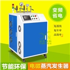 免檢全自動節能小型電加熱蒸餾水鍋爐高壓電磁感應加熱蒸汽發生器