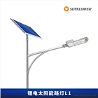 節(jié)能型鋰電智能6-8米30W太陽(yáng)能LED路燈L1