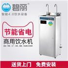碧麗節能飲水機步進式開水器JO-2C過濾溫熱直飲商用