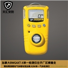 加拿大BW GAXT-H-DL硫化氫氣體濃度檢測儀