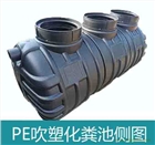 湖北龍康排水系統(tǒng)有限公司PE吹塑一體式化糞池