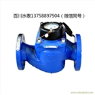 WS DN50 垂直螺翼式可拆水表