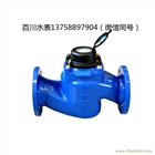 WS80垂直螺翼式可拆水表