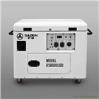 薩登8000瓦應急發電機服務周到