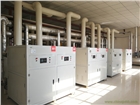 冷凝低氮燃?xì)忮仩t    耐高溫     1400KW